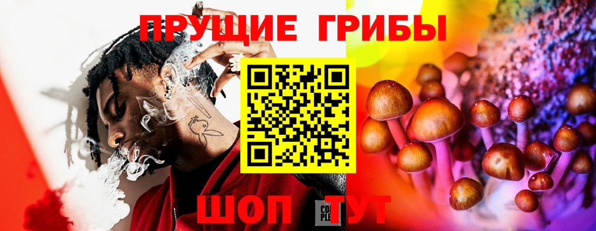 Касимов  Галлюциногенные грибы Cubensis  Вход с VPN  Галлюциногенные грибы ЛСД 