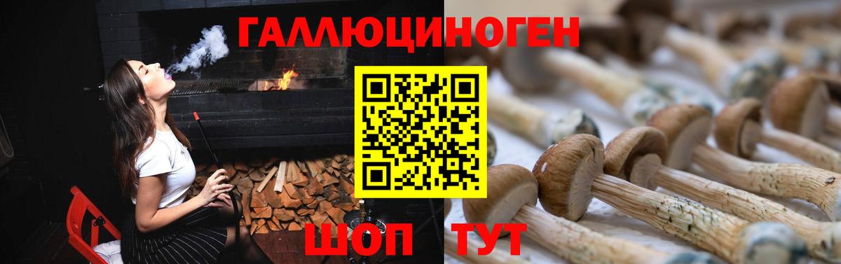 Галлюциногенные грибы мухоморы Касимов